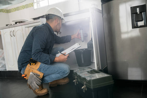 Best Local Plumber Services  in Lake Placid, FL