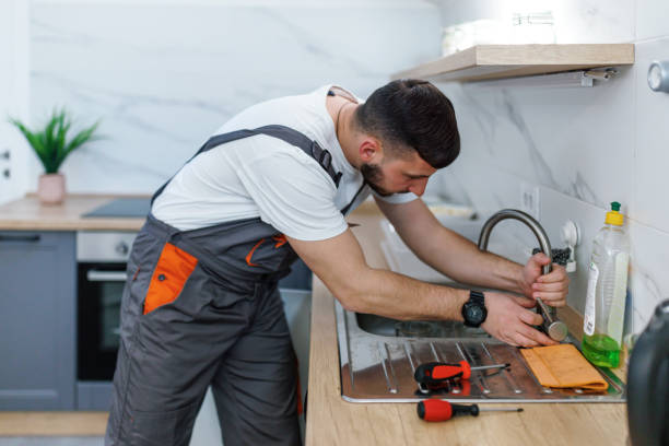 Best Residential Plumbing Services  in Lake Placid, FL