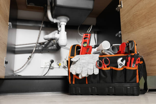 Best Commercial Plumbing Services  in Lake Placid, FL