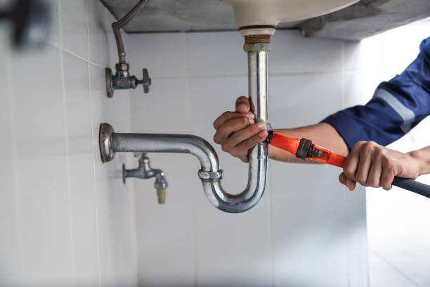Best Plumbing Services Near Me  in Lake Placid, FL